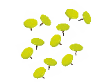 Yellow Thumb Tacks 40 Pieces