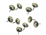 Upholstery Tacks Hammered Nickel