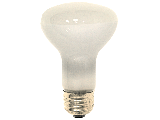 Indoor Floodlight, 40 Watt