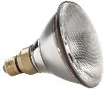 Outdoor Halogen Spotlight, 100 Watt