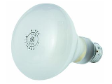 Indoor Floodlight, 65 Watt