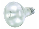 Indoor Spotlight, 65 Watt