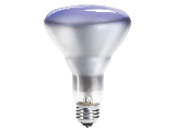 Reveal Indoor Floodlamp, 65 Watt