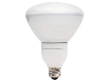 Compact Fluorescent Floodlamp, 26 Watt