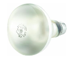 Indoor Spotlight Longlife, 65 Watt