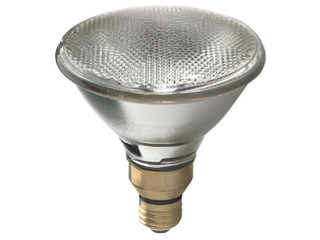 Outdoor Halogen Spotlight, 50 Watt