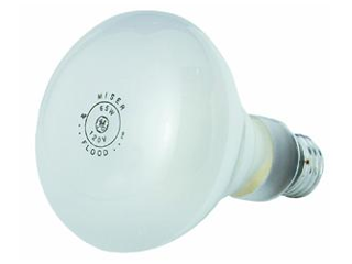 Indoor Floodlight, 65 Watt