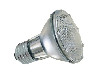 Indoor/Outdoor Halogen Floodlight, 50 Watt