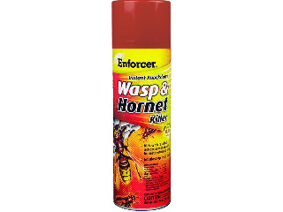 Enf Wasp Hornet Klr 16 Oz. Spray
