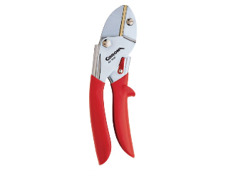 Anvil Pruner