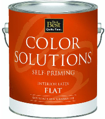 Color Solution Flat Latex Wall Paint Black Gallon