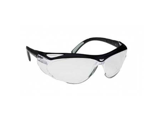 Envision Safety Glasses (Lens Style)