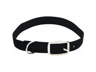 Pet Collar 1 Inch x 24 Inch Assorted Color