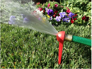 Red Spike Sprinkler