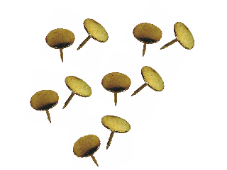 Brass Thumb Tacks 40 Pieces