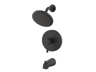 Home Impressions Matte Black Single-Handle Shower Faucet