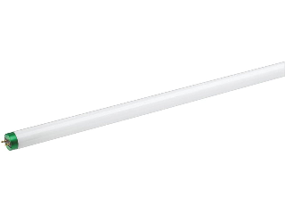 Daylight T8 Fluorescent 32 Watt Light Bulb 48 In, 2 Pack