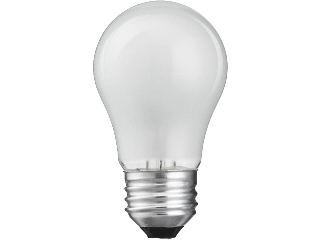 Appliance Frosted Light Bulb, 25 Watt