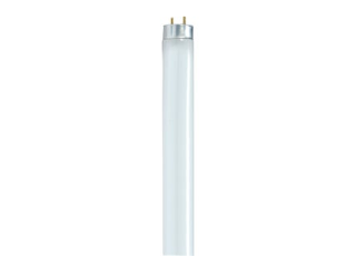 Cool White T8 Fluorescent Light Bulb 32 Watt, 47.8 In