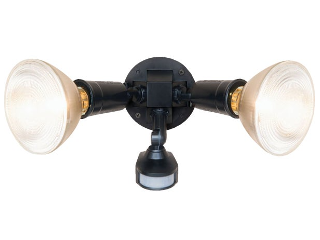 Two Lamp Motion Light Fixture, Bronze