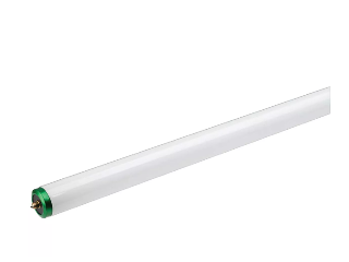 Cool White T12 Fluorescent Bulb, 2 Pk