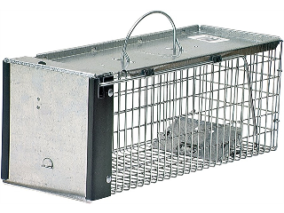 Havahart Squirrel Trap