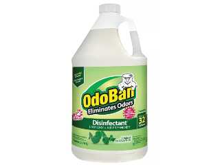 OdoBan Surface Sanitizer & Deodorizer Concentrate, Ga