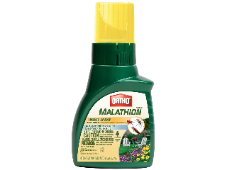 Ortho Max Insect Spray Concentrate, 16 Oz