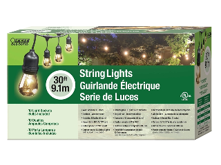 Feit Electric String Light Set, 30 Ft