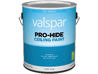 Valspar Pro Hide White Ceiling Paint,  1 Ga