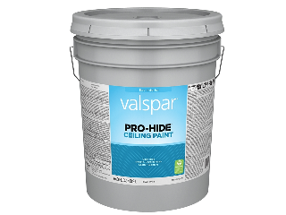 Valspar Pro-Hide Ceiling Paint Flat White, 5 Ga