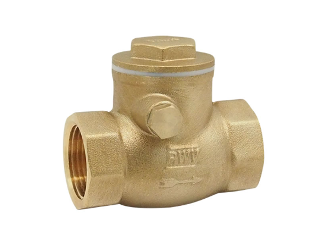 Threaded Ends Brass Swing Check Valve (Sizes)