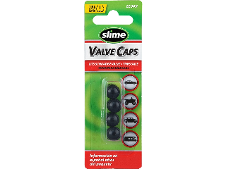 Valve Plastic Cap, 4 Ct