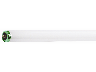Daylight Deluxe T12 Fluorescent Bulb, 75 Watt