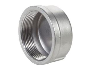 Stainless Steel Threaded Cap (Sizes)