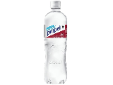 Flavored Bottled Water, 24 Oz (Flavors)