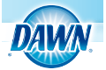 Dawn