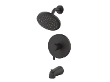 Home Impressions Matte Black Single-Handle Shower Faucet