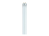 Cool White T8 Fluorescent Light Bulb 32 Watt, 47.8 In
